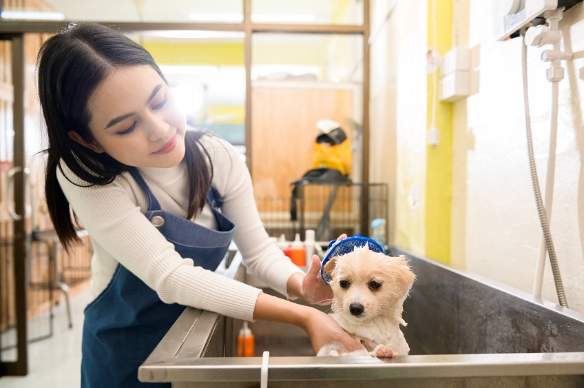 Benefits of Professional Dog Bathing Services